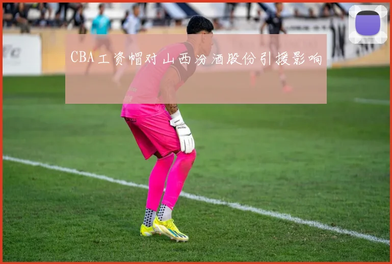 CBA工资帽对山西汾酒股份引援影响