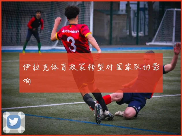 伊拉克体育政策转型对国家队的影响