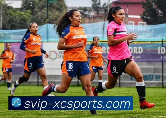 杏彩平台生态图